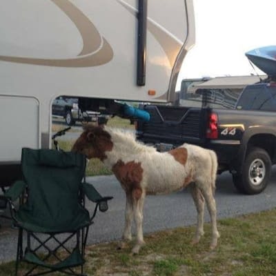 Mark Haney (RV Terps)