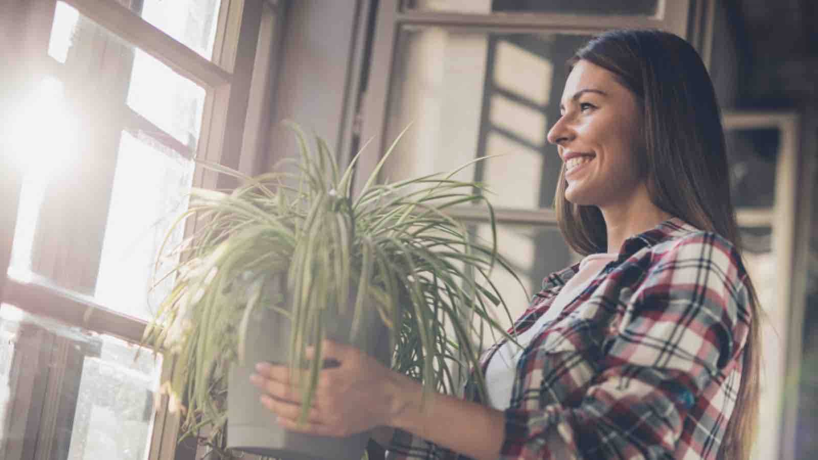 Woman holding a house plant
