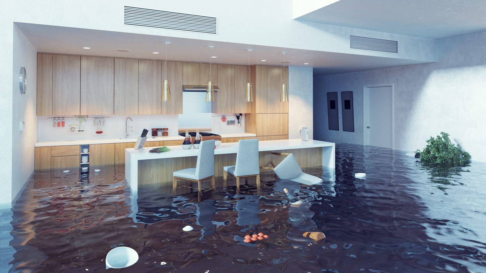 Flooded-House.jpg