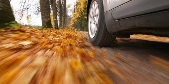Falling Leaves, Changing Weather: Safely Navigate Autumn Driving Challenges