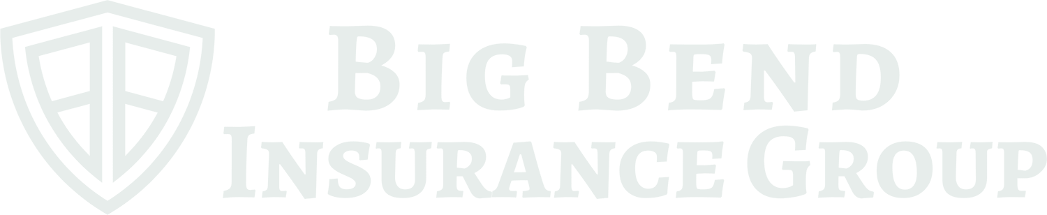 big-bend-logo-grey