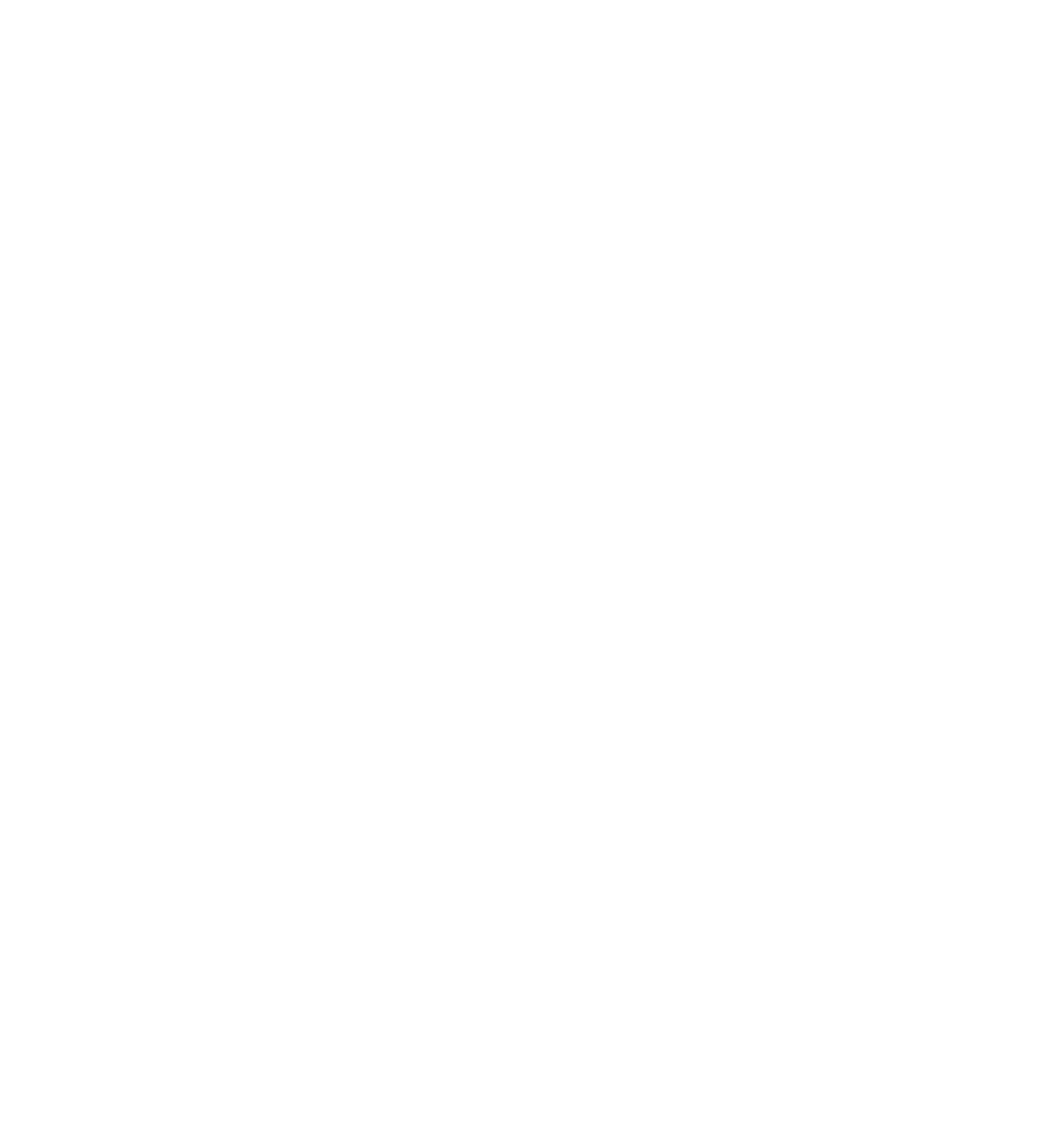 Trusted Choice Logo