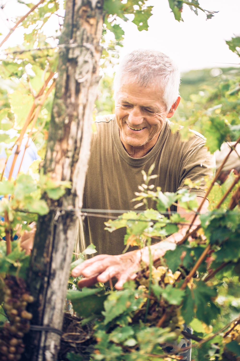 older man taking care of