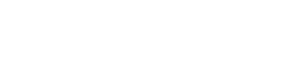 Iron City Insurance logo white