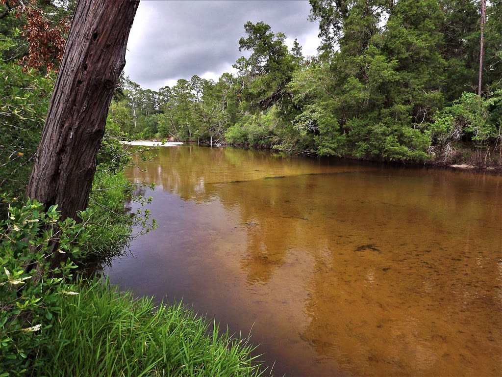 Milton, FL
