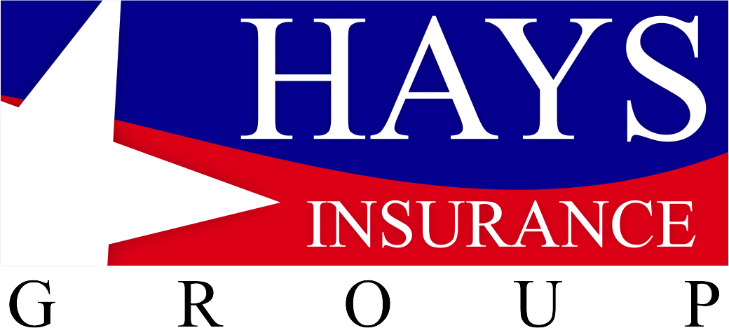 hays insurance group logo