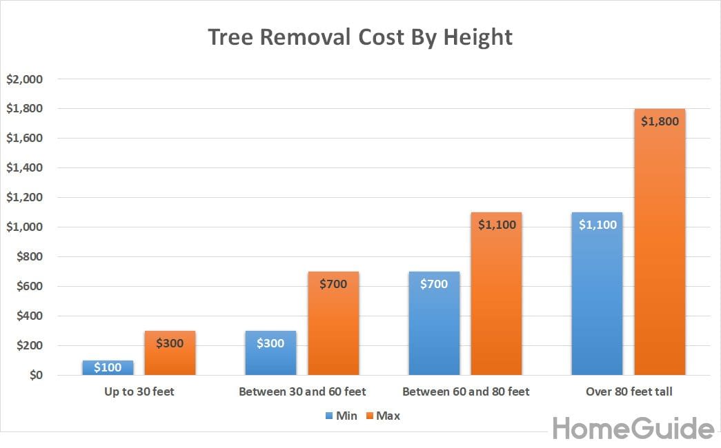 homeguide-average-tree-removal-cost-chart