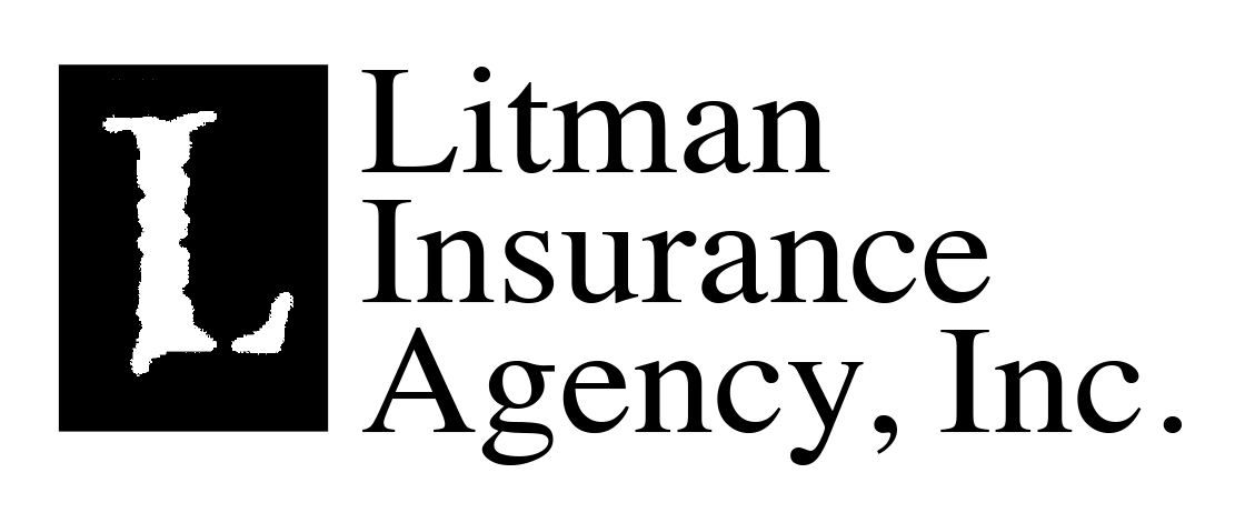 litman_rebuilt_2
