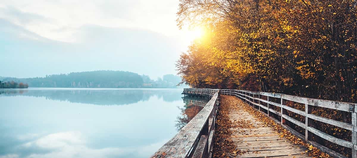 Wooden path by the misty lake. Early morning view with sun shinning through the fog.