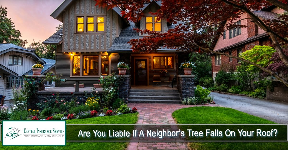 Are You Liable if a Neighbor’s Tree Falls on Your Roof