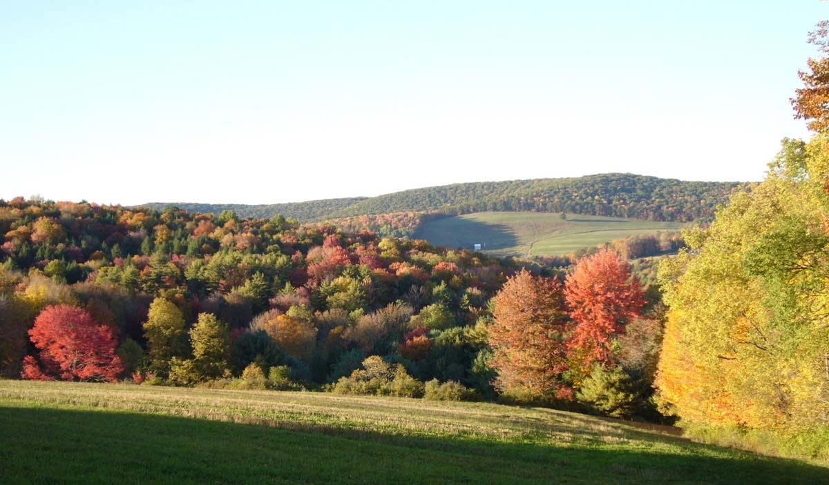 Michael L. McKissick