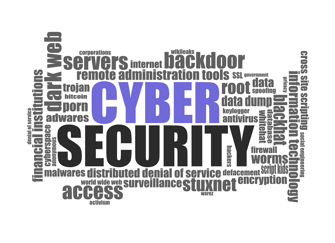 cyber risk