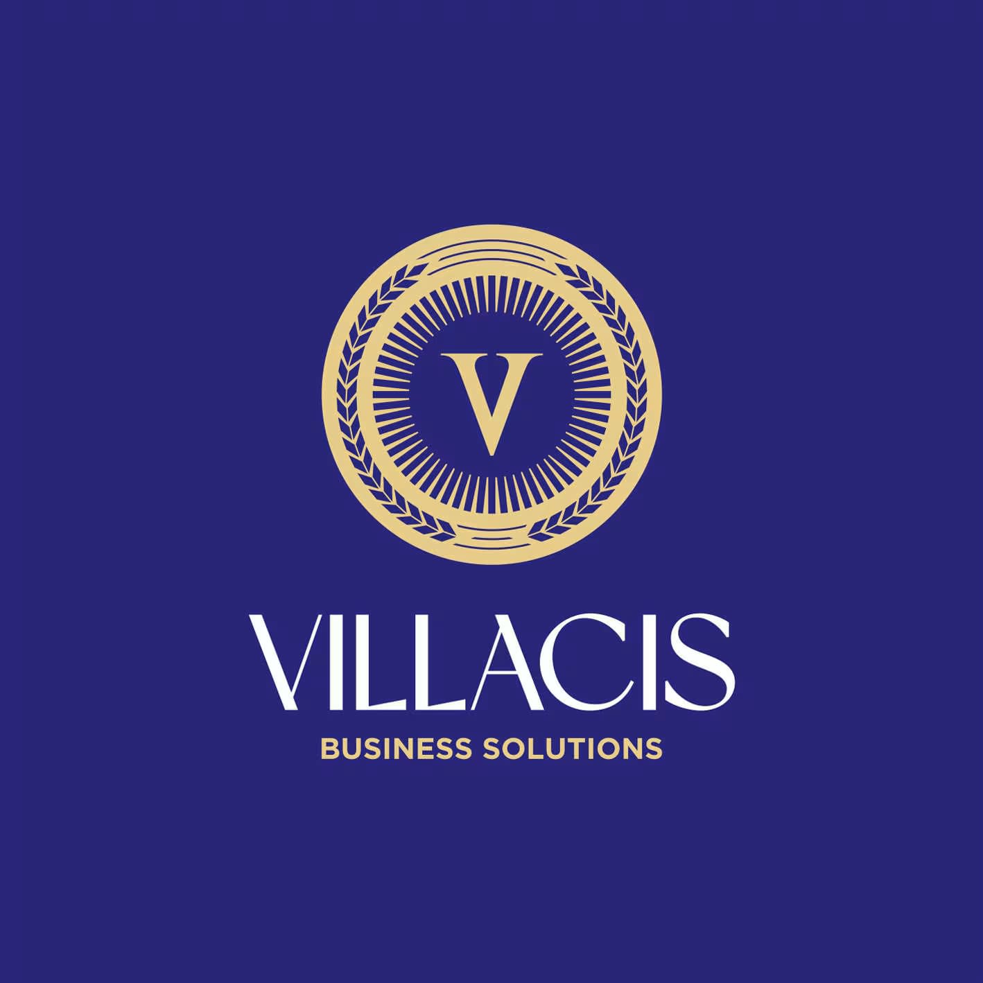 Villacis Business Solutions Inc logo