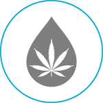 Cannabis MANUFACTURERS