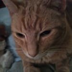 Cathy Bridwell Brooks