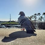 Madinster The Mortal