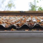 metairie-spring-home-maintenance