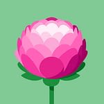 Hailey Grzemkowski -MDH-