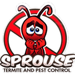 Sprouse's Termite