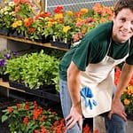 Business Insurance