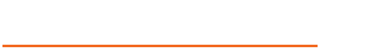 ML-Bruenn-Co-Logo-white