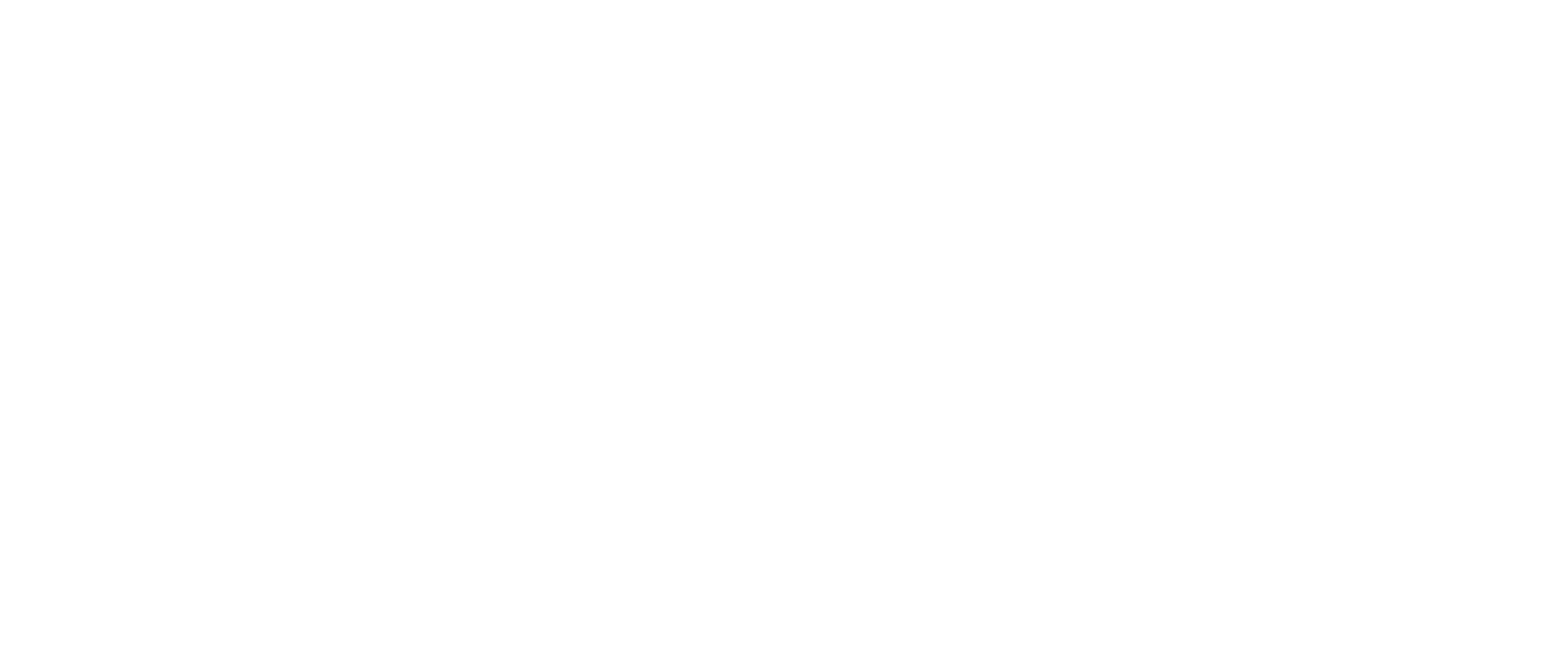 trusted choice logo