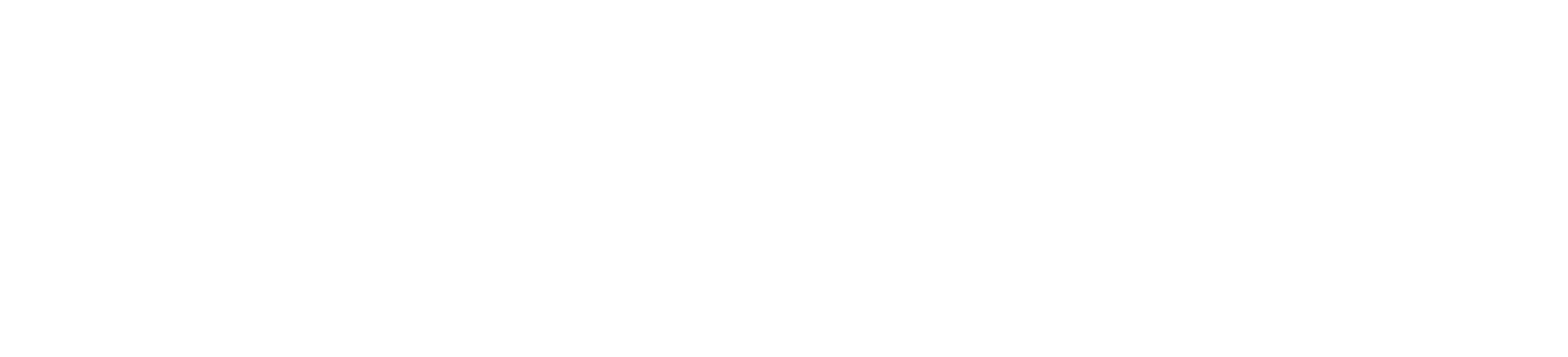Eric W Snyder logo