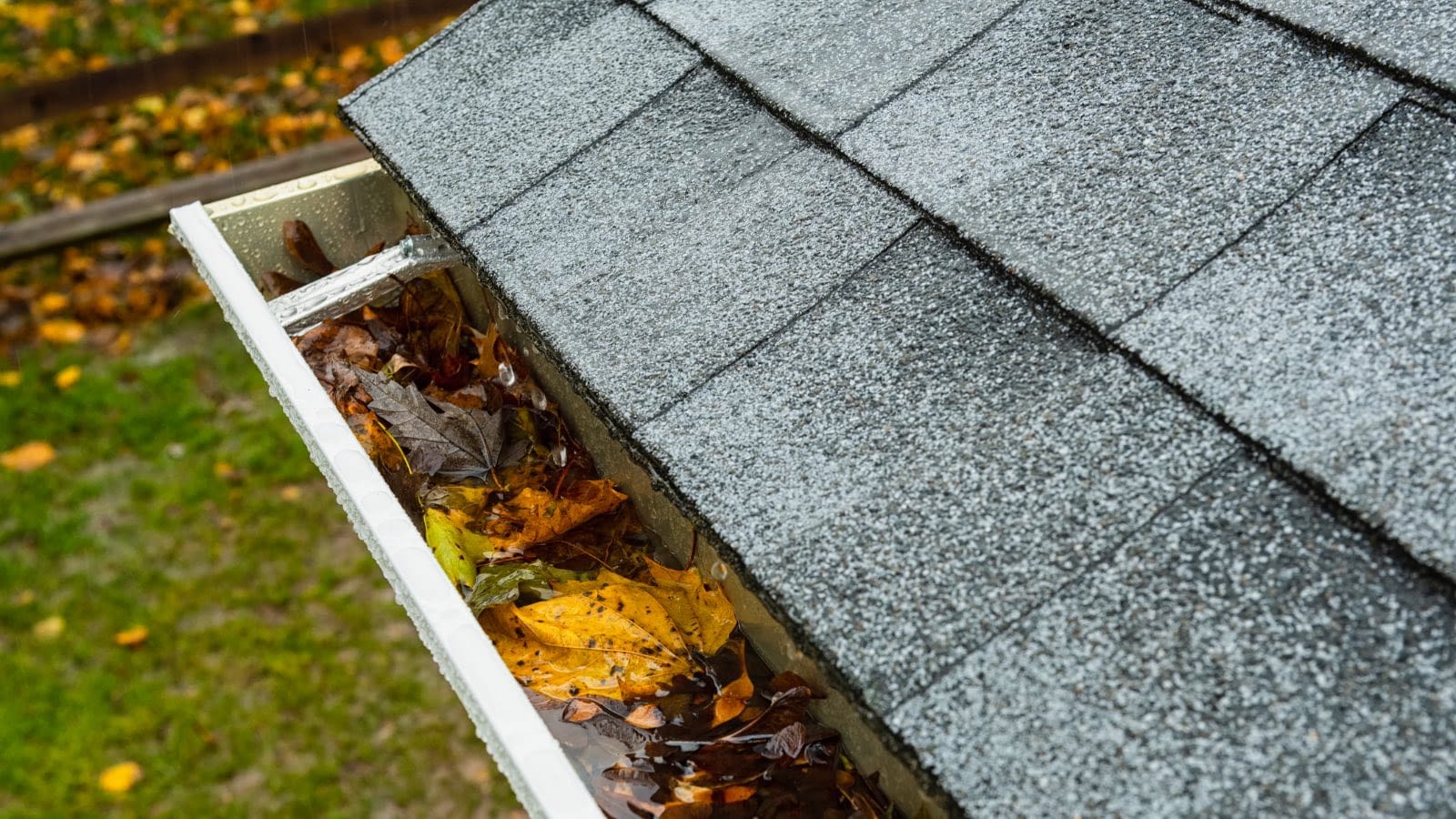 Oct 16 blog gutters filled with leaves