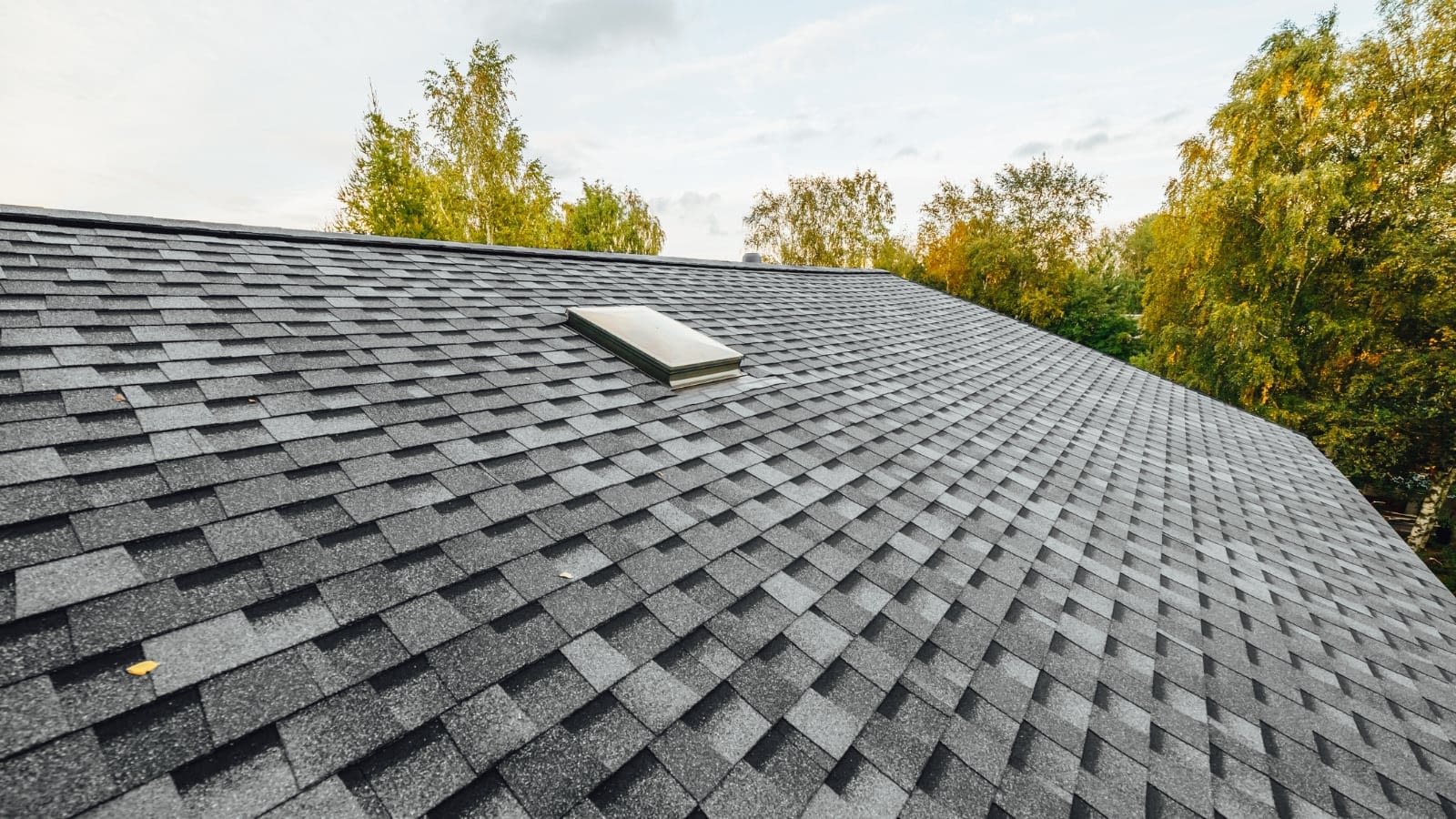 May 2 blog Close-up of homeowner's roof