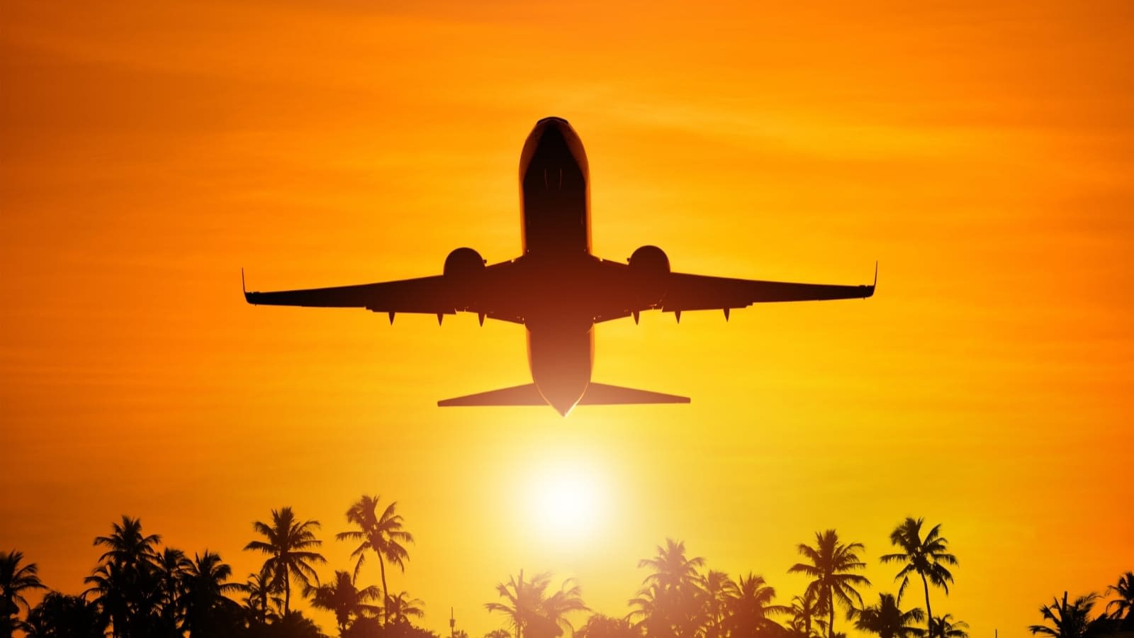 aircraft-insurance airplane taking off from tropical area at sunset