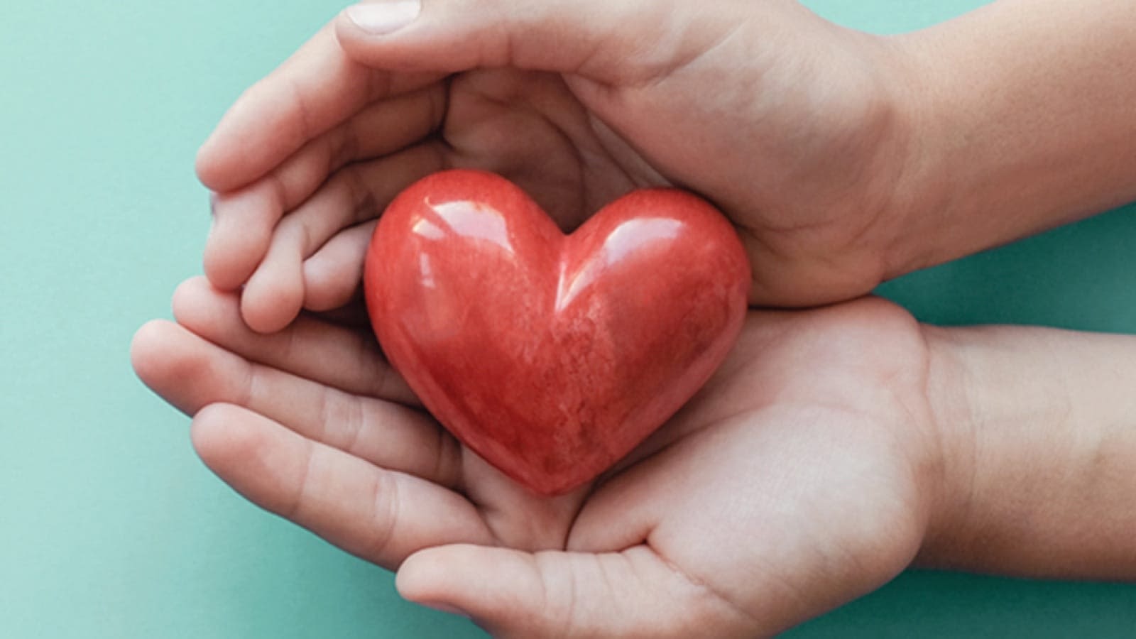 giving-large Hands holding a heart