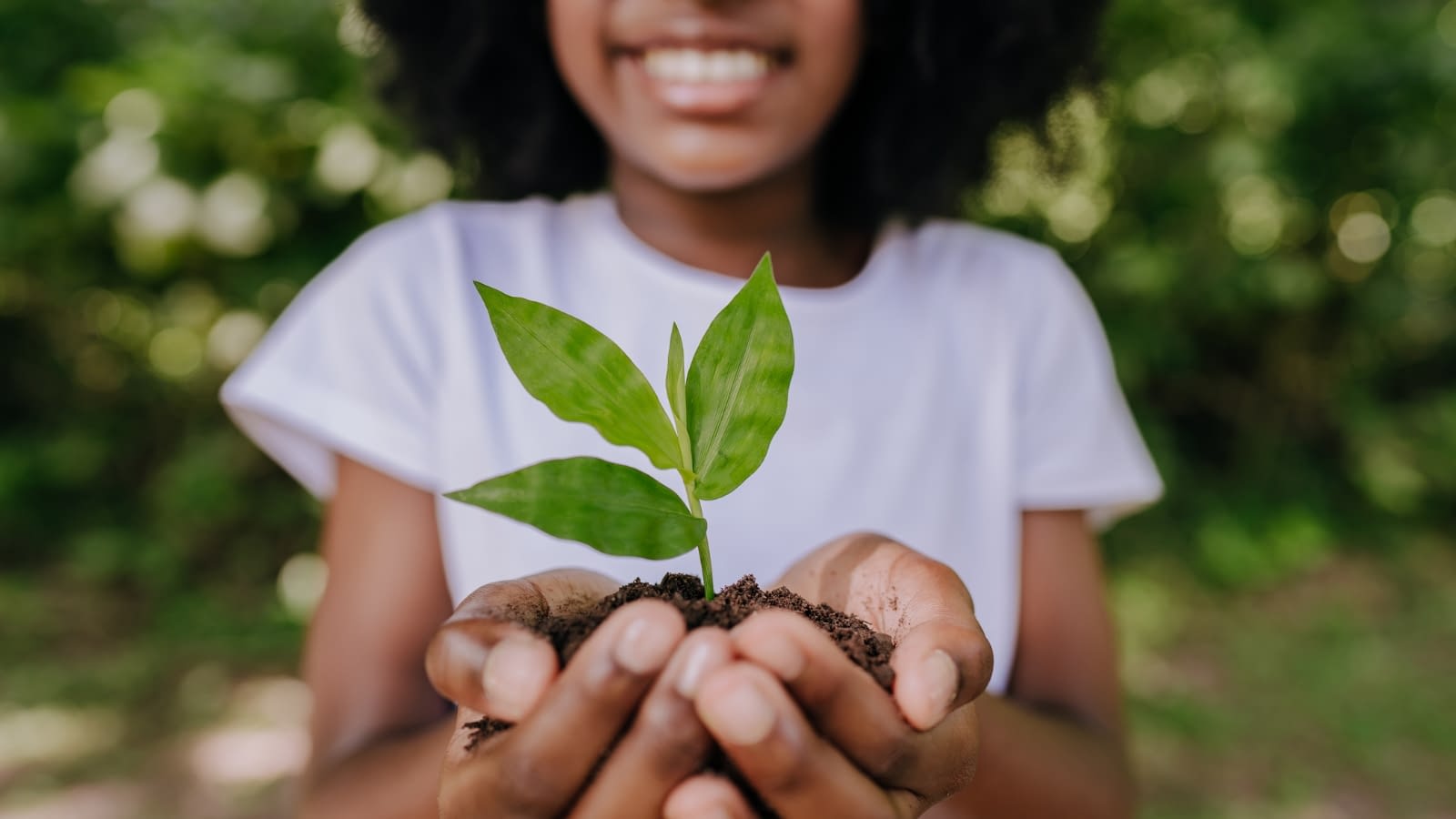 life insurance young woman holding a small plant in her hands