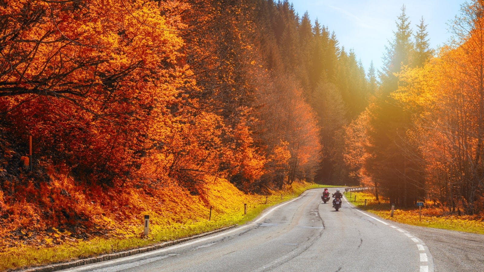 two motorcycles riding through fall foliage