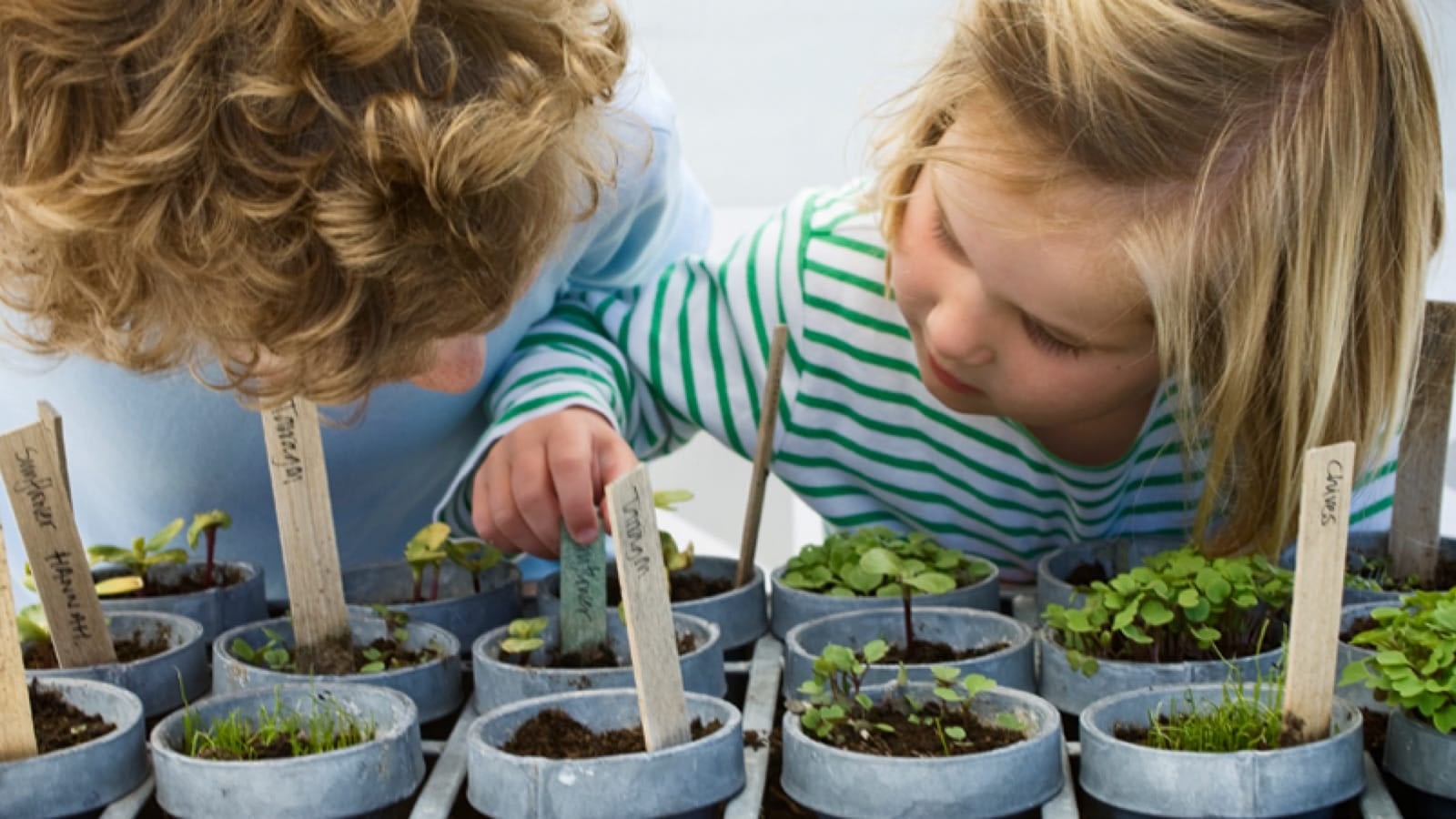 Family gardening