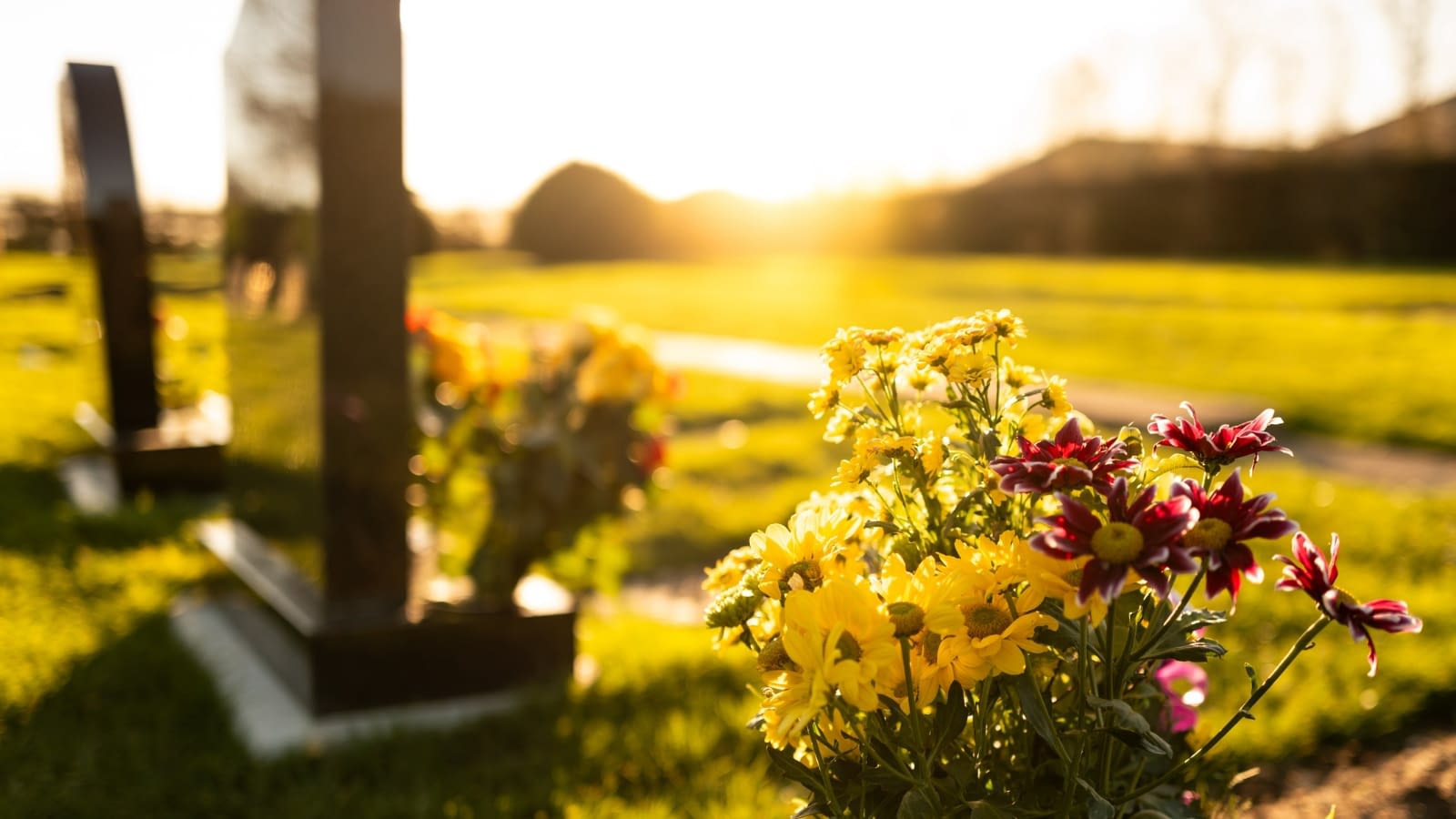 October 7th Blog Featured Image close-up of flowers at gravestone