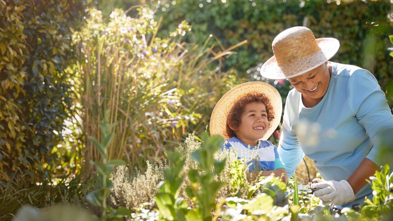 grandparent and grandchild in a field