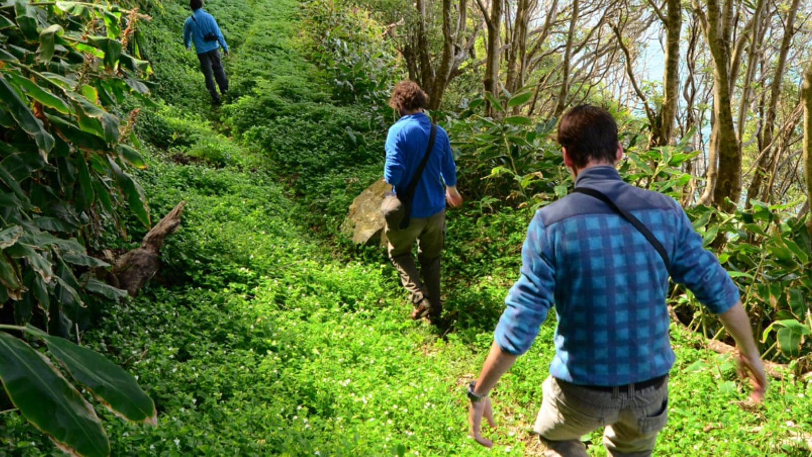 Friends hiking a trail