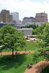 Newark Insurance Agent