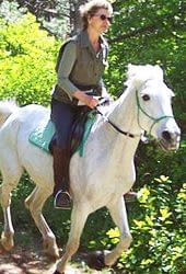 Equestian Insurance Port Austin, Michigan