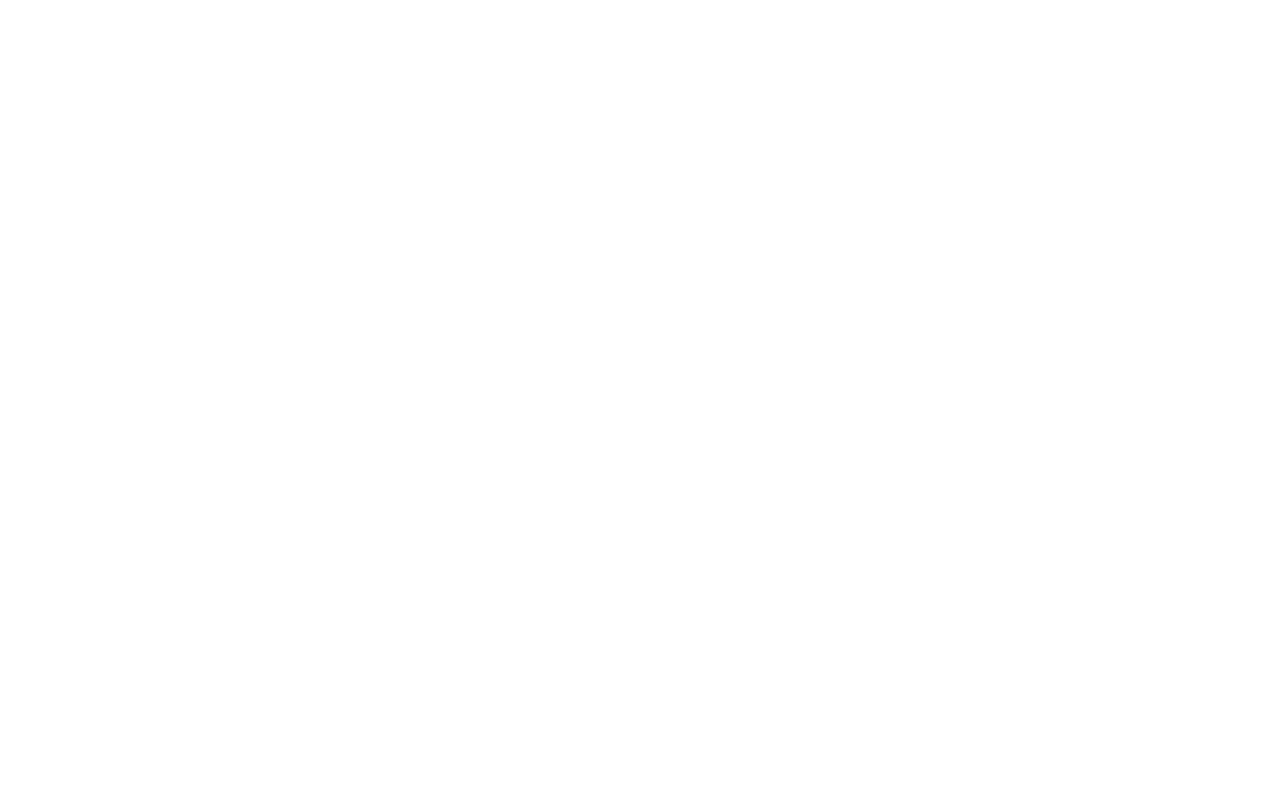 logo-white3 logo_above_fold