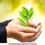 hands-holding-tree-300x169