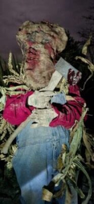 Robin - Demon of the corn