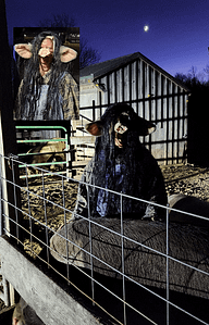 Robin - Mutant Pig Farmer