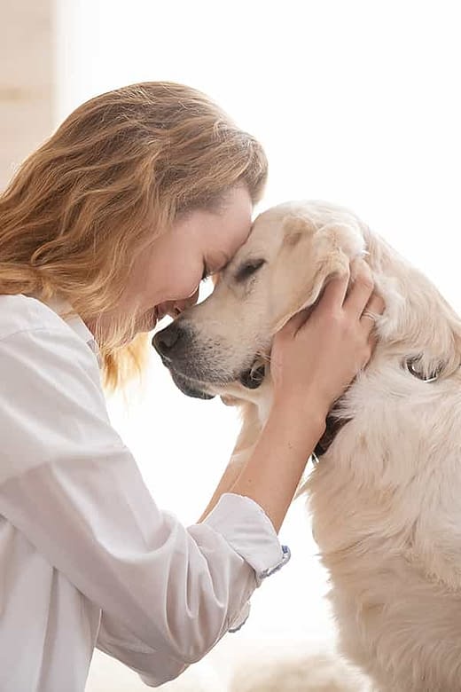 Temporary Housing for Pets | Sedgwick | temporary housing