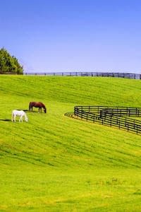 Danville Insurance Agent