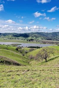 Ripon Insurance Agency