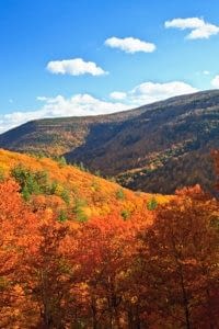 Washingtonville, New York Insurance Agent (1)