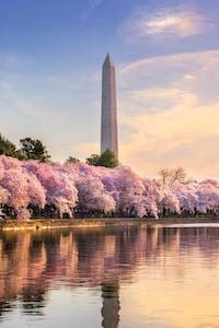 Boonsboro Insurance Agency