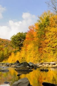 Princeton, West Virginia Insurance Agent