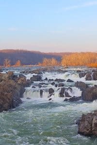 La Plata, Maryland Insurance Agent